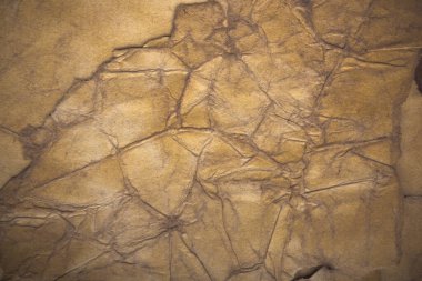 Aged paper sheet. Blank old background with dust and dirty stains. Vintage and antique art concept. Poster mockup. Detailed closeup studio shot. Front view. Toned