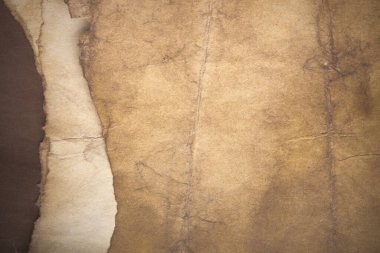 Aged paper sheet. Blank old background with dust and dirty stains. Vintage and antique art concept. Poster mockup. Detailed closeup studio shot. Front view. Toned