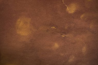 Aged paper sheet. Blank old background with dust and dirty stains. Vintage and antique art concept. Poster mockup. Detailed closeup studio shot. Front view. Toned