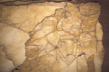 Aged paper sheet. Blank old background with dust and dirty stains. Vintage and antique art concept. Poster mockup. Detailed closeup studio shot. Front view. Toned