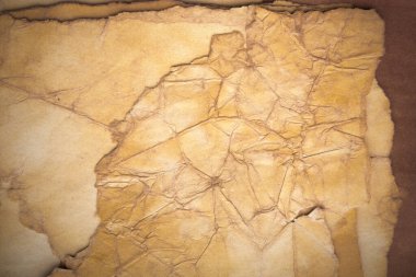 Aged paper sheet. Blank old background with dust and dirty stains. Vintage and antique art concept. Poster mockup. Detailed closeup studio shot. Front view. Toned