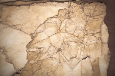 Aged paper sheet. Blank old background with dust and dirty stains. Vintage and antique art concept. Poster mockup. Detailed closeup studio shot. Front view. Toned