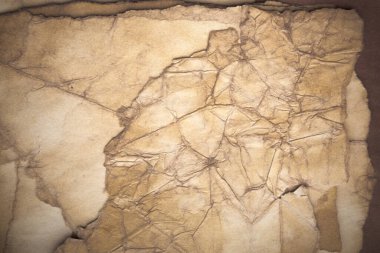 Aged paper sheet. Blank old background with dust and dirty stains. Vintage and antique art concept. Poster mockup. Detailed closeup studio shot. Front view. Toned