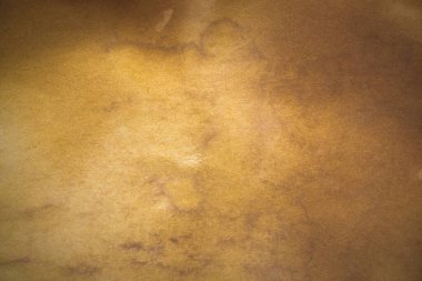 Aged paper sheet. Blank old background with dust and dirty stains. Vintage and antique art concept. Poster mockup. Detailed closeup studio shot. Front view. Toned