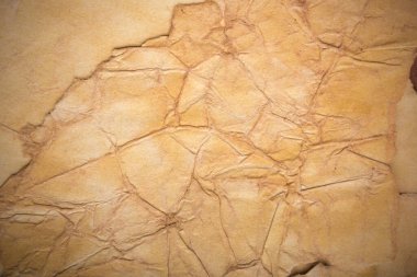 Aged paper sheet. Blank old background with dust and dirty stains. Vintage and antique art concept. Poster mockup. Detailed closeup studio shot. Front view. Toned