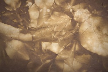 Aged paper sheet. Blank old background with dust and dirty stains. Vintage and antique art concept. Poster mockup. Detailed closeup studio shot. Front view. Toned