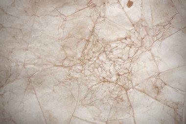 Aged paper sheet. Blank old background with dust and dirty stains. Vintage and antique art concept. Poster mockup. Detailed closeup studio shot. Front view. Toned