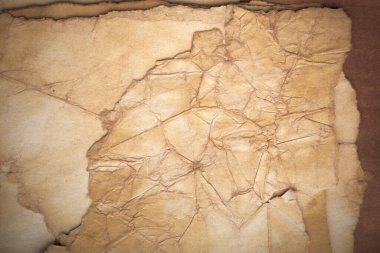 Aged paper sheet. Blank old background with dust and dirty stains. Vintage and antique art concept. Poster mockup. Detailed closeup studio shot. Front view. Toned