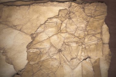 Aged paper sheet. Blank old background with dust and dirty stains. Vintage and antique art concept. Poster mockup. Detailed closeup studio shot. Front view. Toned