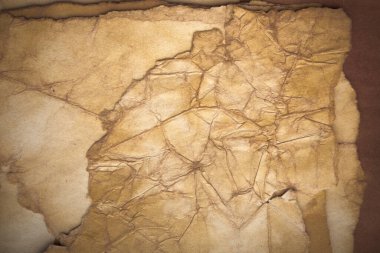 Aged paper sheet. Blank old background with dust and dirty stains. Vintage and antique art concept. Poster mockup. Detailed closeup studio shot. Front view. Toned