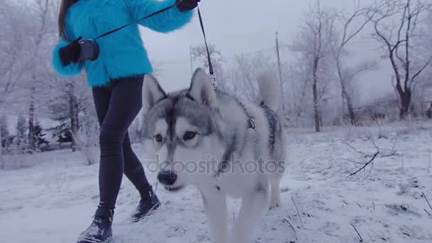 Beautiful girl with dog breed husky is day in winter Park. — Stock Video