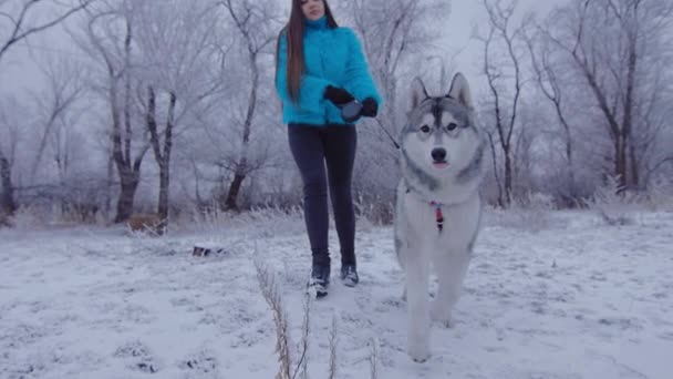 Schönes Mädchen mit Hunderasse Husky ist Tag im Winterpark. — Stockvideo