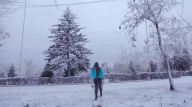 Köpek doğurmak husky ile güzel kız gün kış Park vardır..