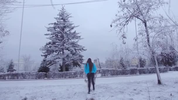 Fata frumoasa cu rasa de caini husky este zi în parc de iarnă . — Videoclip de stoc
