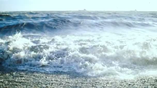 Морські мартини. Далеко в море кораблі пливуть. Морські хвилі котиться на берег . — стокове відео