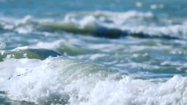 Las olas del mar rodan a la orilla . — Vídeo de stock