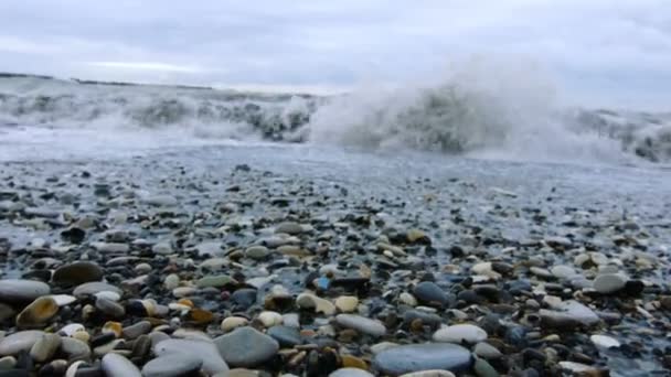 Tidal bore. Pebbles on the shore. — Stock Video