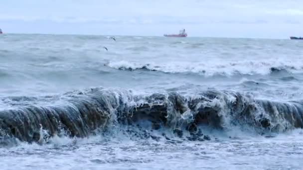 Gabbiani. Lontano nel mare navi sail.The onde del mare rotolano verso la riva . — Video Stock