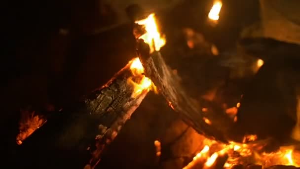 Night fire. Bonfire — Stock Video