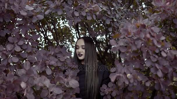 Uma jovem fica entre os arbustos altos e olha para a câmera . — Vídeo de Stock