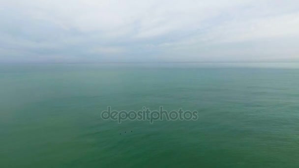 Aerial havet. Fåglarna flyger över havet. — Stockvideo