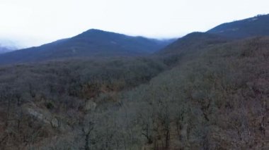 Hava dağ ormanları. Drone çıkıyor.