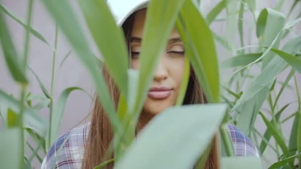 Een jonge vrouw staat onder het hoge gras. — Stockvideo