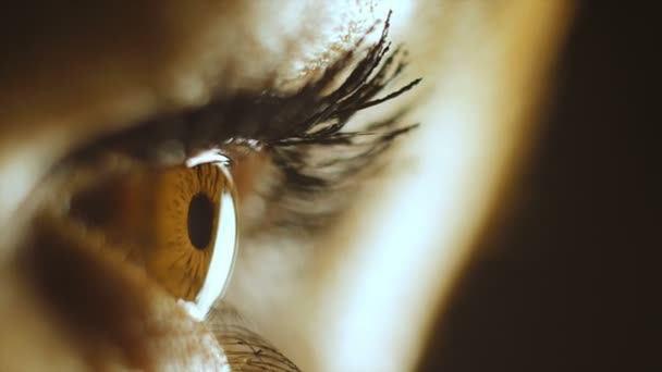 Macro photography. The eye of a woman who looks at the tablet. — Stock Video