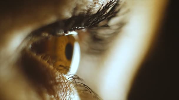 Fotografía macro. El ojo de una mujer que mira la tableta . — Vídeos de Stock