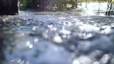 Nehir dalgaları. Güneşli yaz gün.