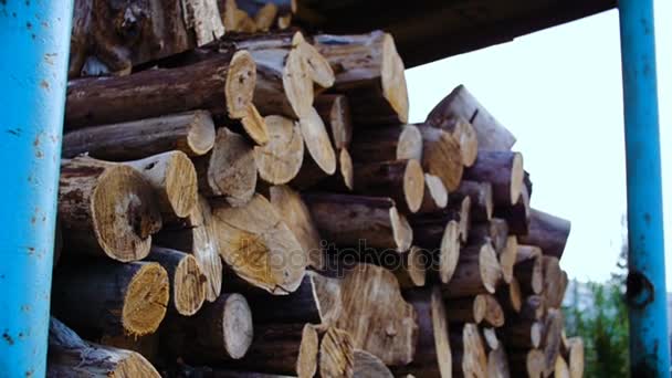 Under the canopy there are firewood. — Stock Video