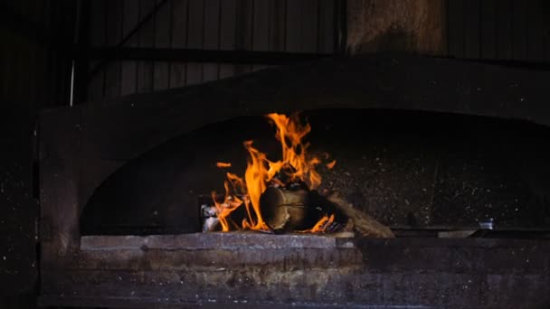 A câmera se move para o forno de churrasco . — Vídeo de Stock