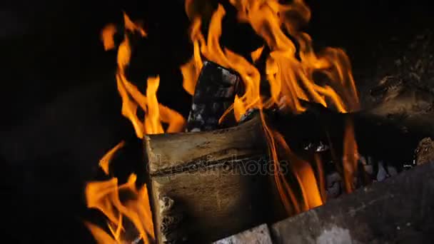 Le bois est brûlé dans le barbecue . — Video