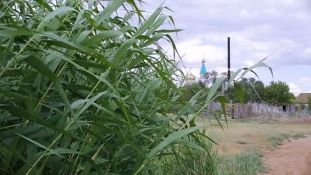 Rusia, región de Volgogrado, barranco de roble, 10. 07. 2017. Paisaje rural con la Iglesia Ortodoxa . — Vídeos de Stock