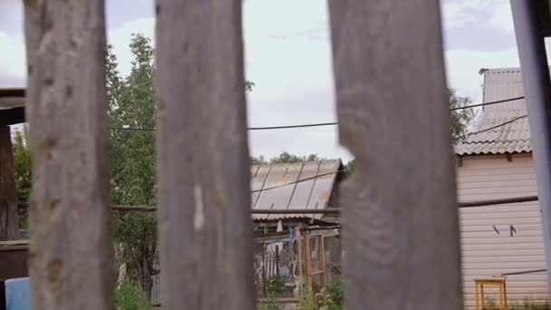Rusko, Volgogradská oblast, dubové rokle, 10. 07. 2017. Pohled na dvoře přes plot. — Stock video