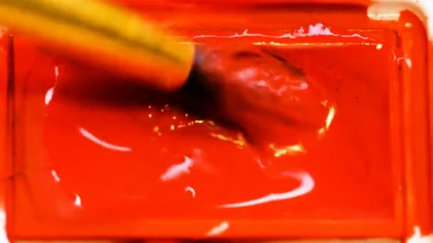 Macro photography. Drawing with a brush and paints. — Stock Video