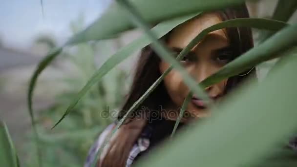 Uma jovem mulher com cabelos longos olha através da folhagem de juncos para a câmera . — Vídeo de Stock