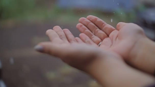 Regentropfen fallen auf die verlängerten weiblichen Handflächen. — Stockvideo