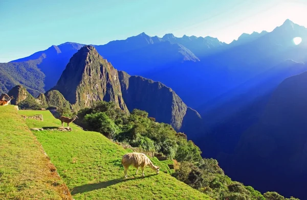 Nascer do sol na antiga cidade inca Machu Picchu, Peru, América do Sul — Fotografia de Stock