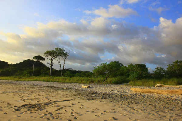 哥斯达黎加野生巴里戈纳海滩上的美妙日落 — 图库照片
