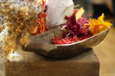 Ahşap yalak kartopu meyveleri. Belarus hala Life.Cowberry çilek