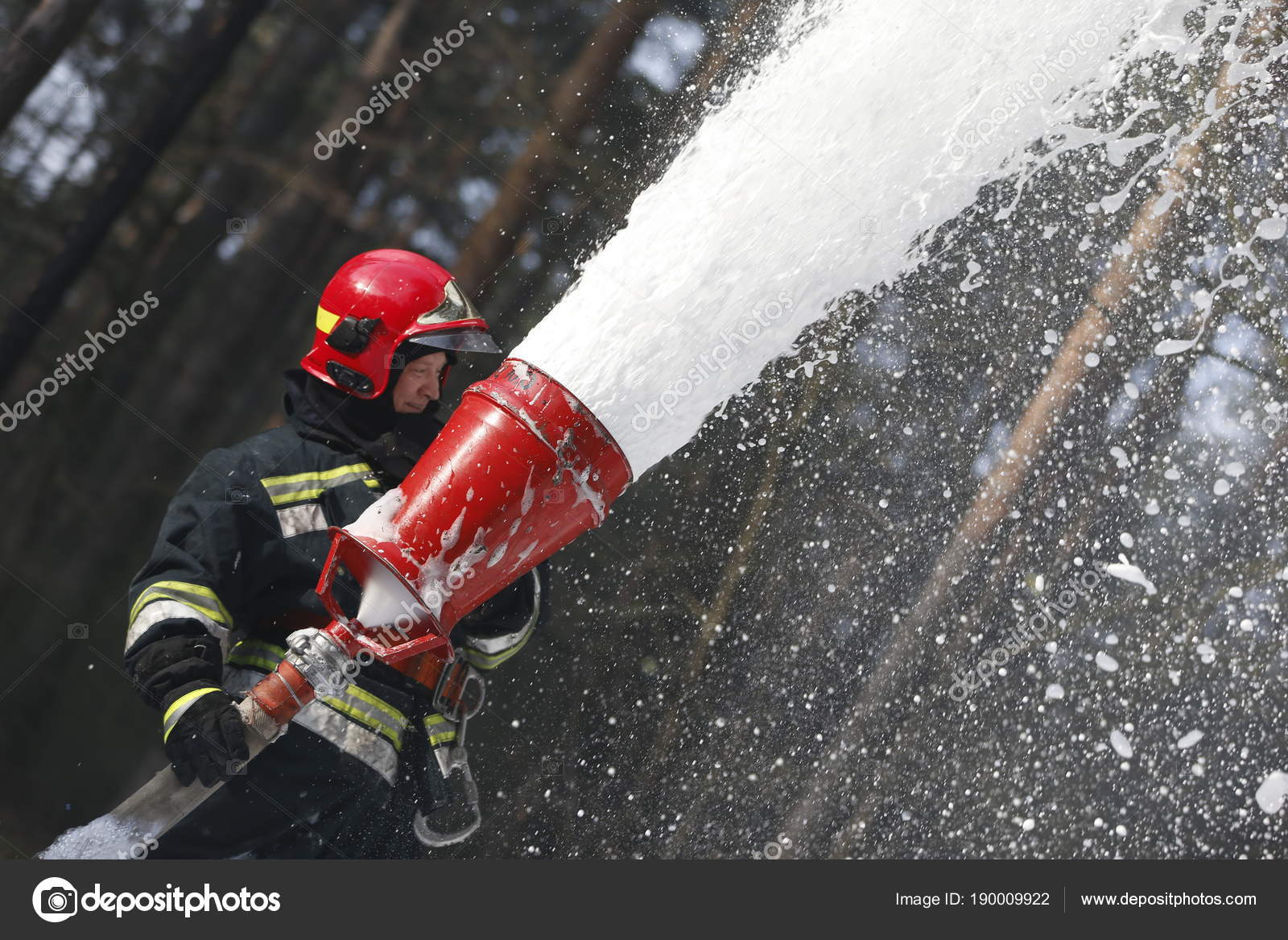 ÐаÑÑинки по запÑоÑÑ ÑÑÑение леÑнÑÑ
пожаÑов в ÐелаÑÑÑи ÑоÑо