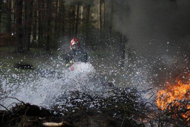 Beyaz Rusya, Gomel şehir. Orman 06.04.2017.The itfaiyeci itfaiye ile köpük orman yangını söndürür. Cesur itfaiyeci. Orman yangını. Ateşe karşılık