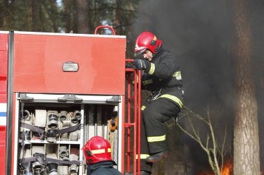 Beyaz Rusya, Gomel şehir. Orman 06.04.2017.Fire, bir yangın söndürmek için hazırlık itfaiyeci itfaiye. Yangın söndürmek. Yangınla mücadele. Orman yangınları