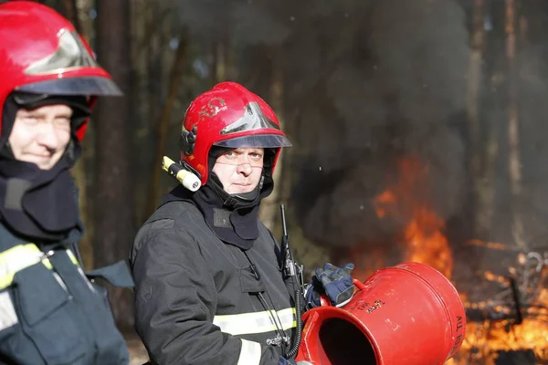 Fehéroroszország Gomel Város Erdő 2017 Bátor Tűzoltó Tűzoltó Fogja Eloltani — Stock Fotó