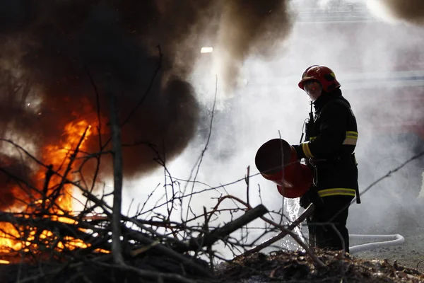 Bielorrússia Cidade Gomel Combate Incêndios Floresta 2017 Bombeiro Extingue Com — Fotografia de Stock