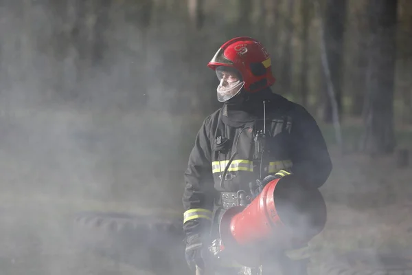 Fehéroroszország Gomel Város Erdei 2017 Firefighter Füst Amikor Erdőtűz Oltó — Stock Fotó