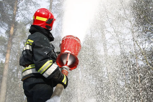 Vitryssland Gomel 2017 Släcka Skogsbrand Vitryssland Gomel 2017 Brandman Släcker — Stockfoto