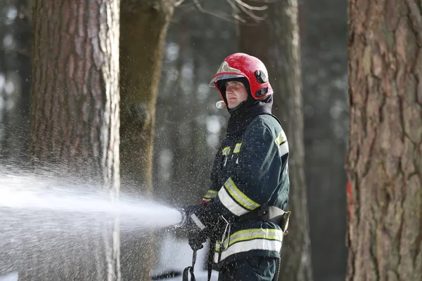 Belarus Gomel 2017 Memadamkan Api Hutan Belarus Fire Man Extinguish — Stok Foto