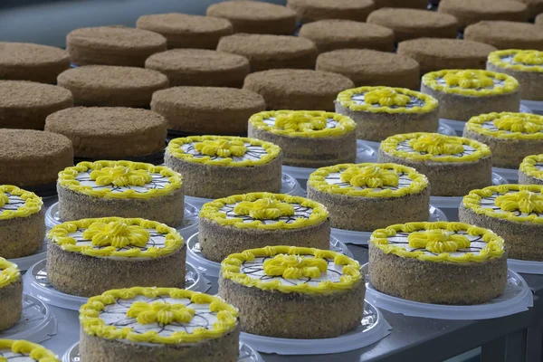 Production line of cakes. Many cakes in the culinary shop.Cake and baking line